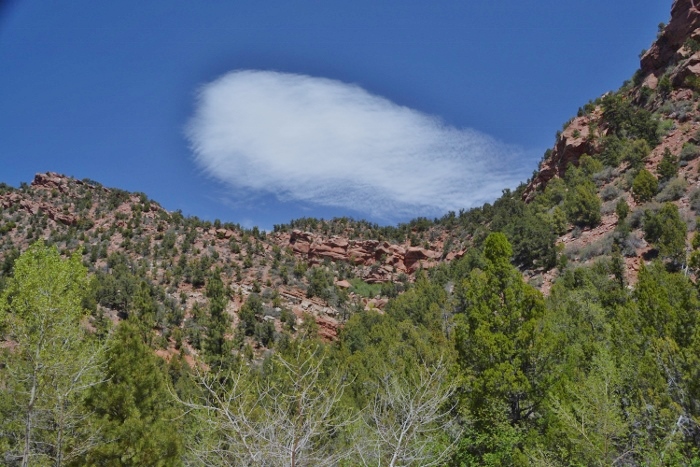 view of the canyon walls